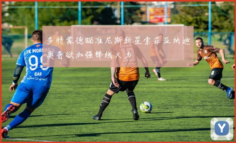 多特蒙德瞄准尼斯新星索菲亚纳迪奥普欲加强锋线火力